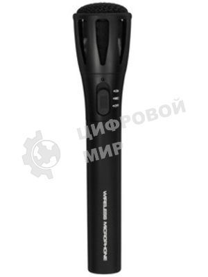 Микрофон Ritmix RWM-302 черный