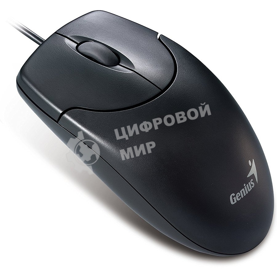 Мышь проводная Genius NetScroll 120 V2 черный, 1000 dpi, USB, кнопки - 3