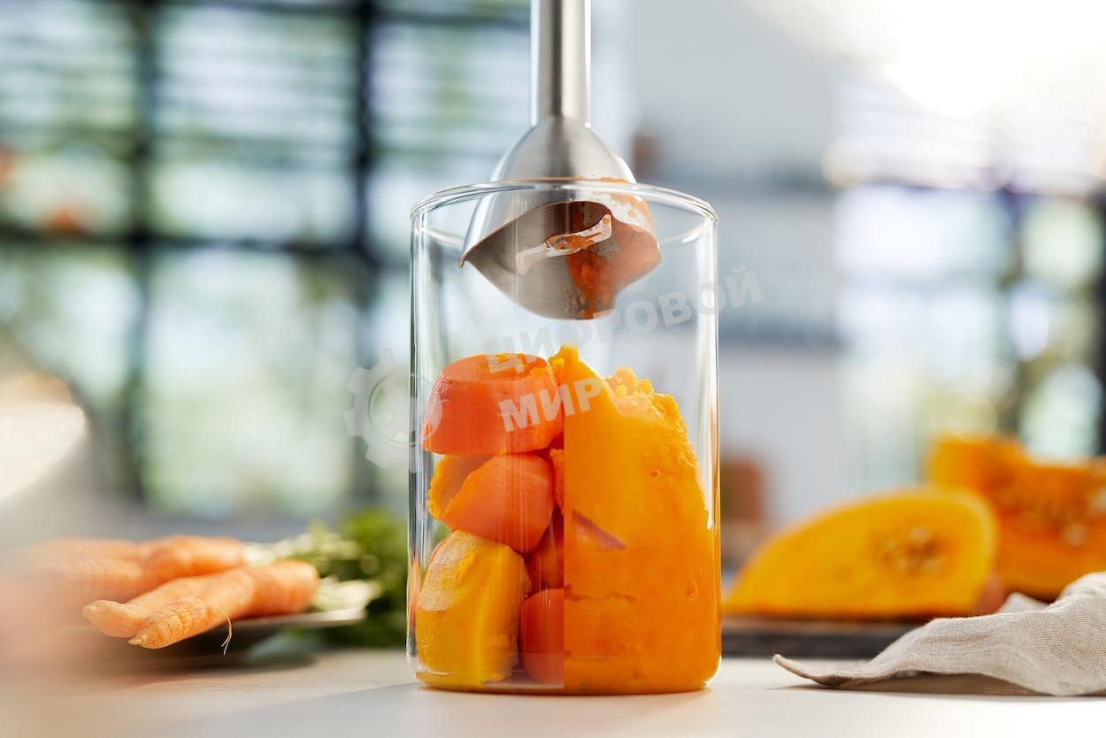 Блендер погружной Philips HR2534/00