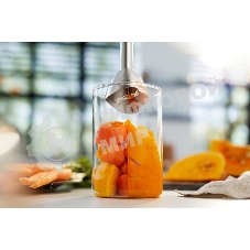 Блендер погружной Philips HR2534/00