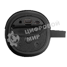 Караоке-система ExeGate Bro 310 Bluetooth черный