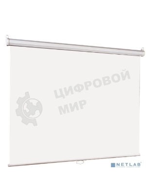 Настенный экран Lumien Eco Picture 127х200 см (рабочая область 121х194 см) Matte White восьмигранный корпус, возможность потолочн./настенного крепления, уровень в комплекте, 16:10 (треугольная упаковка)