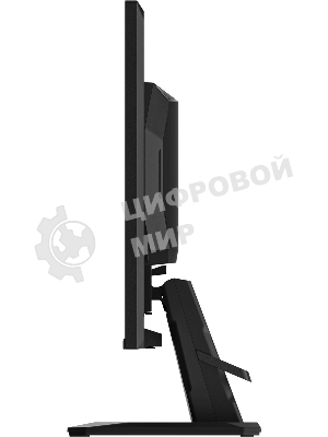 Монитор 24.5