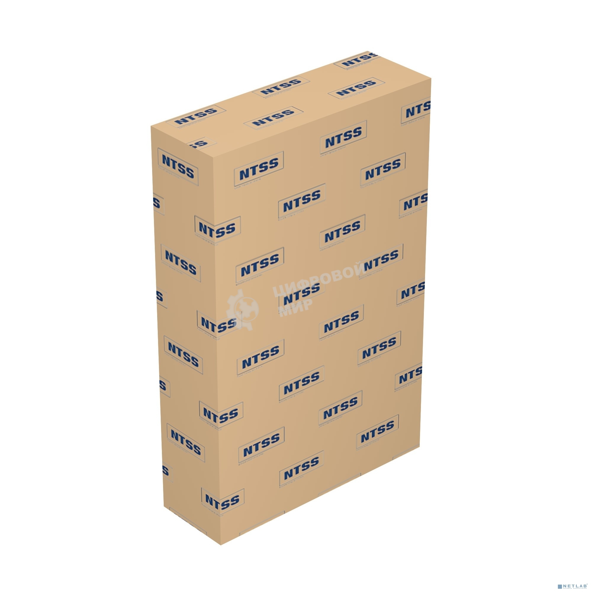 Шкаф коммутационный NTSS Премиум (NTSS-W12U6060GS-2) настенный 12U 600x600 мм пер. дв. стекл 60 кг серый IP20 сталь