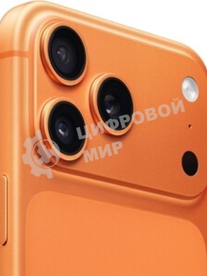 Смартфон Apple iPhone 17 Pro Max A3525 12/1024Gb, оранжевый