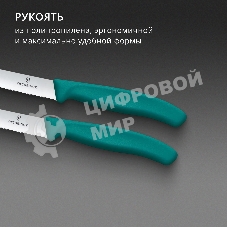 Набор ножей Victorinox Swiss Classic 6.7834.2C1 для овощей компл.: 2предм. зеленый европодвес