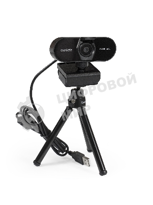 Веб-камера ExeGate EX287379RUS Stream C925 FullHD T-Tripod (матрица 1/3