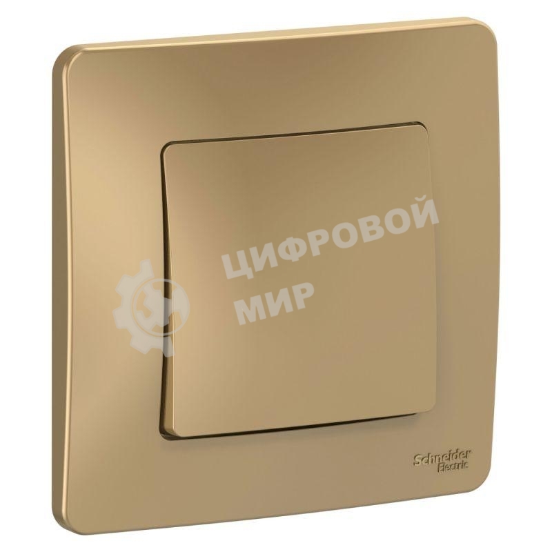 Выключатель 1-кл. СП Blanca (сх.1) 10А 250 В титан SchE BLNVS010104