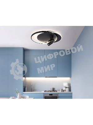 Светильник Ambrella light FL51393/1+2 BK черный 3000K-6400K 65W 560*480*120 (ПДУ РАДИО 2.4G)