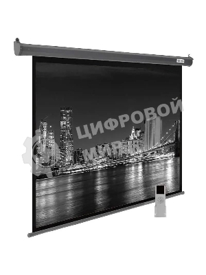 Экран Cactus 175x280 см SIlverMotoExpert CS-PSSME-280X175-DG 16:10 настенно-потолочный рулонный темно-серый (моторизованный привод)