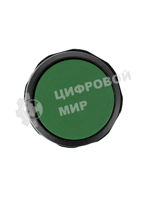 Кнопка Rexant EB22 возвратная зеленая NO+NC 230 В