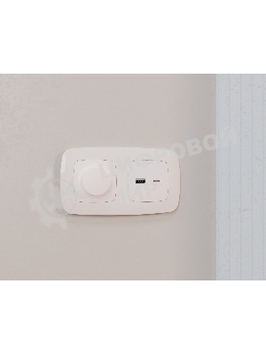 Лицевая панель OMEGA (Жемчуг) для розетки 2USB тип A+C QUANT OP2110