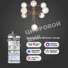 50383 / потолочный светильник / латунь Smart