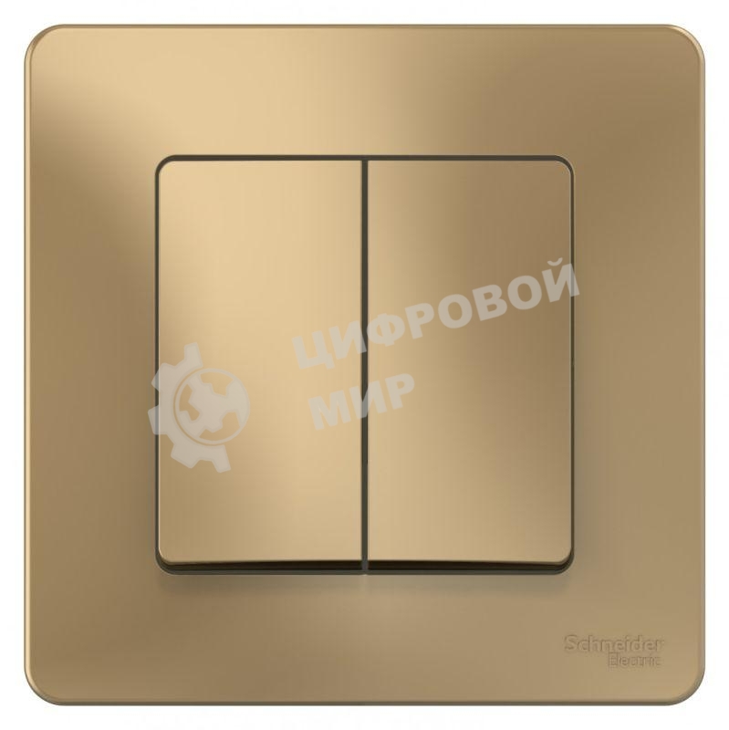 Выключатель 2-кл. СП Blanca (сх.5) 10А 250 В титан SchE BLNVS010504