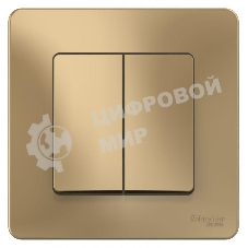 Выключатель 2-кл. СП Blanca (сх.5) 10А 250 В титан SchE BLNVS010504