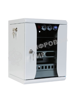 Шкаф телеком. ЦМО настенный 10