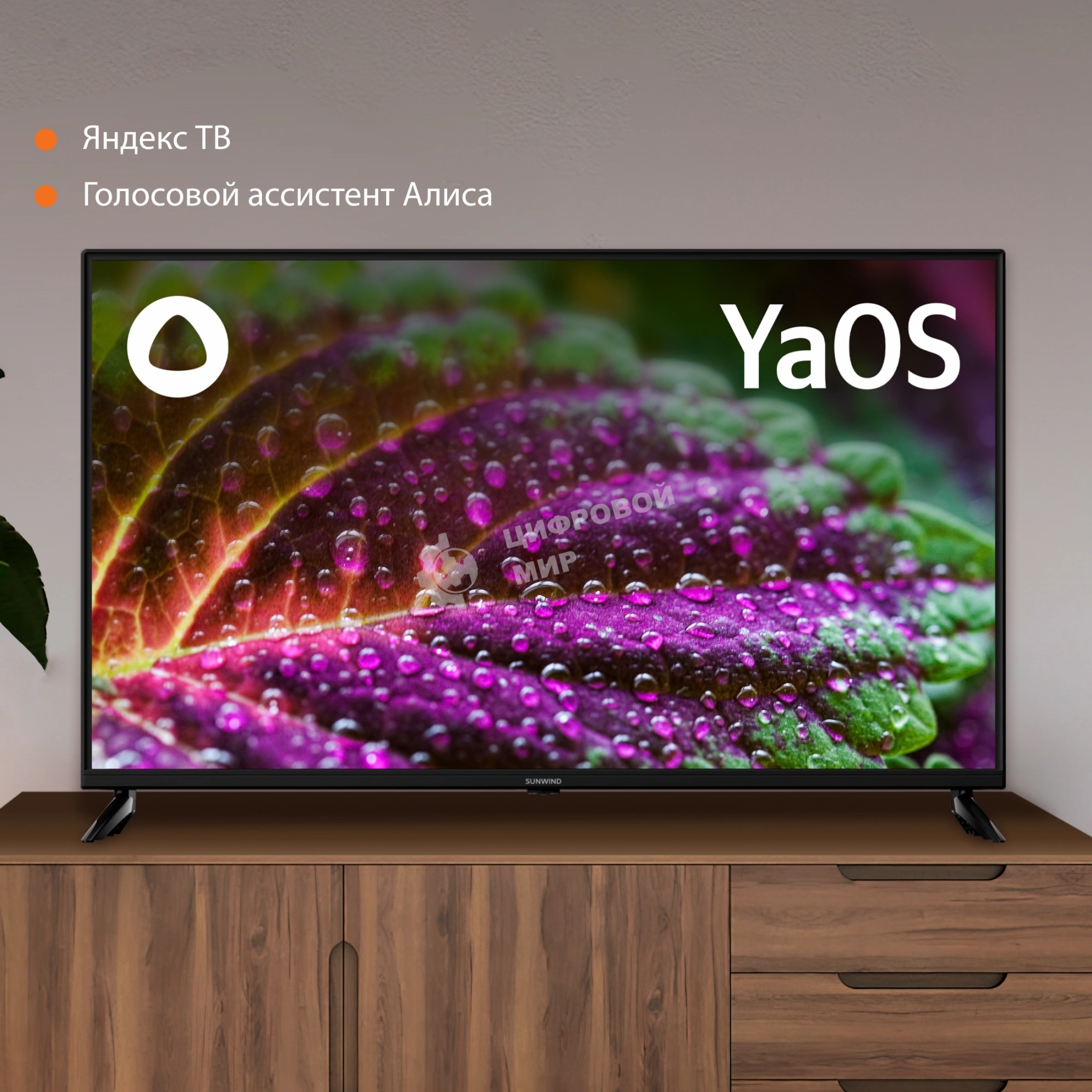 Телевизор SunWind 43