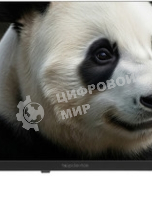 Телевизор TopDevice 24