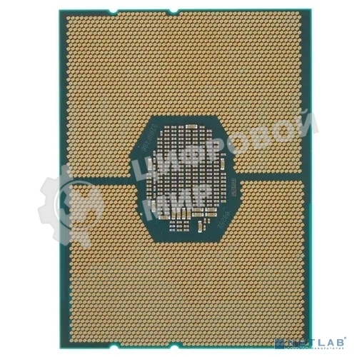 Процессор Intel Xeon Gold 5218R Soc-3647 2.1GHz OEM