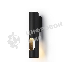 Светильник настенный TN5102 BK черный GU10 max 12W 250*55*80