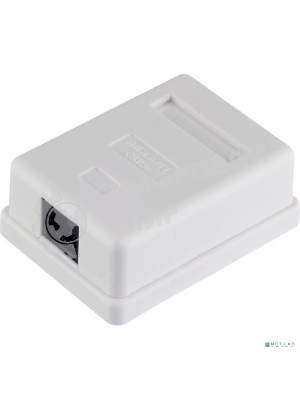 Розетка компьютерная Rexant 1-м ОП RJ45 CAT 5E бел.