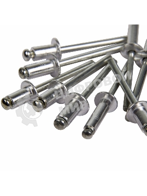 Заклепки Rexant, 4,0x6 мм, 50 шт.