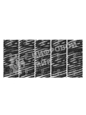 Сетка абразивная Сибртех, P 80, 115 х 280 мм, 5 шт.