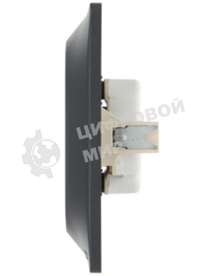 Розетка 2-м СП Glossa 16А IP20 без заземл. в сборе антрацит SchE GSL000720