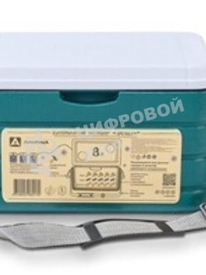 Изотермический контейнер АРКТИКА 8 л, 2000-10 (синий)