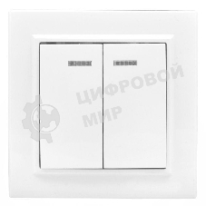 Выключатель 2-клавишный СП с индикатором,10А, белый EKF Basic Минск