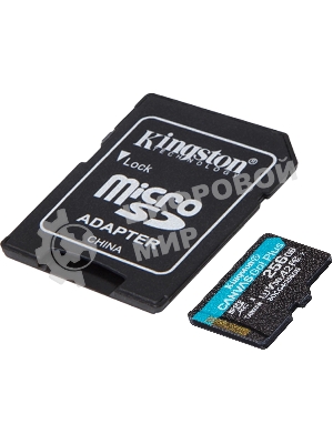 Флеш карта microSDXC 256Gb Kingston SDCG4/256Gb Canvas Go! Plus A2 + adapter