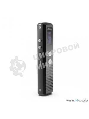 Диктофон RITMIX RR-120 4GB черный