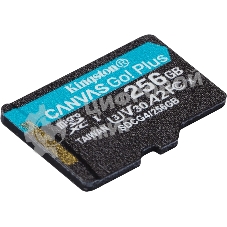 Флеш карта microSDXC 256Gb Kingston SDCG4/256GbSP Canvas Go! Plus V10 A2 w/o adapter