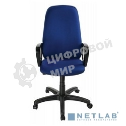 Кресло руководителя Бюрократ CH-808AXSN/TW-10 синий TW-10