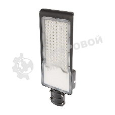 Светильник светодиодный консольный Rexant ДКУ 01-100-5000К-ШС IP65 черный