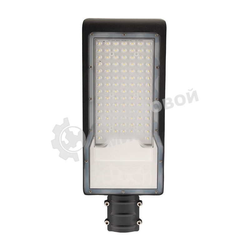 Светильник светодиодный консольный Rexant ДКУ 01-100-5000К-ШС IP65 черный