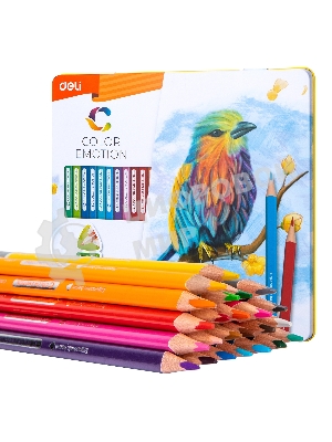 Карандаши цветные Deli EC00225 Color Emotion, трехгранный профиль, липа, 24 цвета, металлическая коробка (24шт)