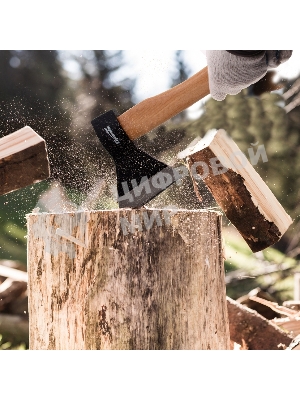 Топор Sparta 600 г в сборе кованый деревянное топорище