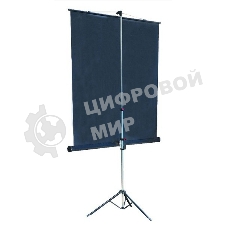 Экран на штативе Lumien Master View 127x127 см Matte White FiberGlass (LMV-100101)