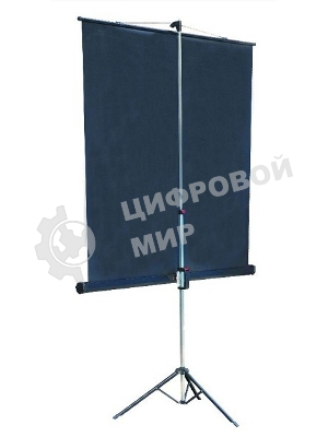 Экран на штативе Lumien Master View 127x127 см Matte White FiberGlass (LMV-100101)