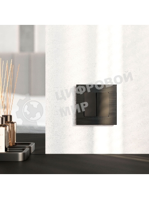 Рамка на 1 пост WERKEL AluMax (черный алюминий) W0013508