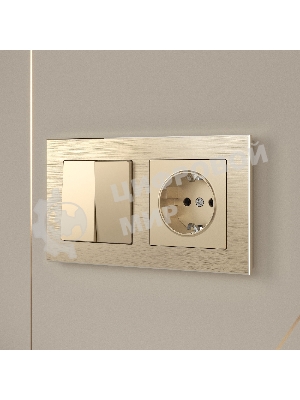 Рамка WERKEL на 2 поста (шампань алюминий) W0021711