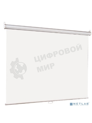 Настенный экран Lumien Eco Picture LEP-100106 127х127см (рабочая область 121х121 см) Matte White восьмигранный корпус, возможность потолочн./настенного крепления, уровень в комплекте, 1:1 (треугольная упаковка)