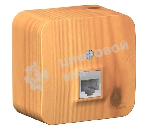 Systeme Electric Blanca наруж Ясень Розетка компьютерная RJ45, кат.5E, изолир. пластина