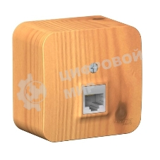 Systeme Electric Blanca наруж Ясень Розетка компьютерная RJ45, кат.5E, изолир. пластина