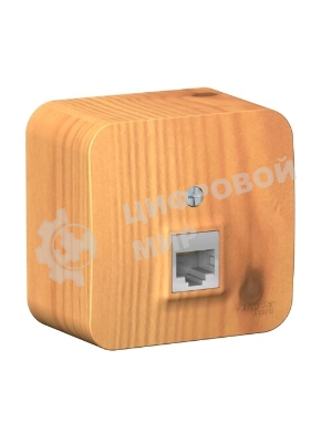 Systeme Electric Blanca наруж Ясень Розетка компьютерная RJ45, кат.5E, изолир. пластина