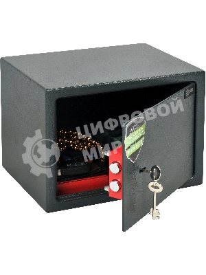 Сейф мебельный Cactus CS-SF-K25 250x350x250мм ключевой