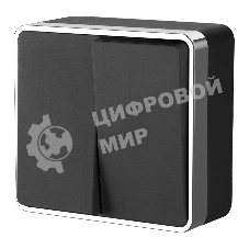 Выключатель двухклавишный Gallant (черный/хром) W5020035