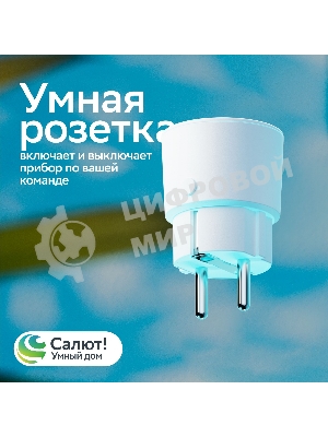 Умная розетка Сбердевайсы SBDV-00123