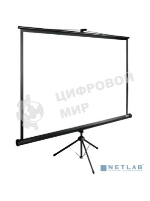 Экран Cactus 150x200 см TriExpert CS-PSTE-200х150-BK 4:3 напольный рулонный